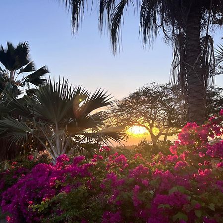 Villa Jouanacaera Le Carbet Dış mekan fotoğraf