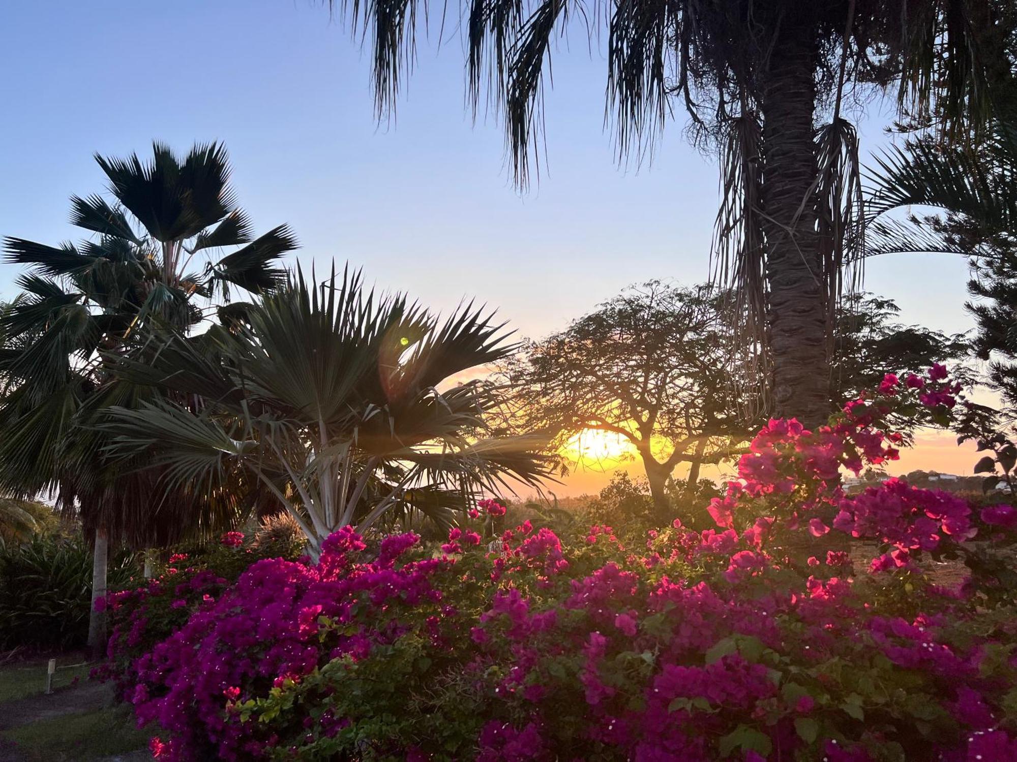 Villa Jouanacaera Le Carbet Dış mekan fotoğraf